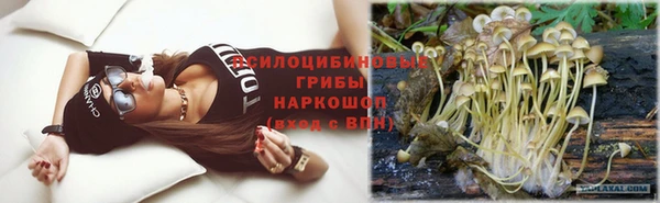 гашик Абаза