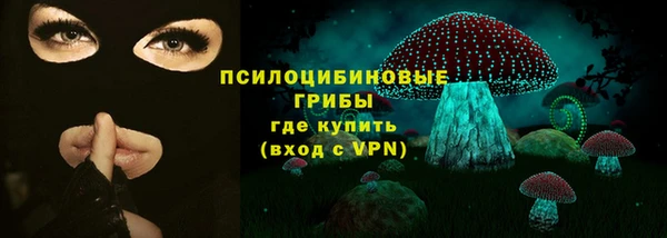apvp Саяногорск