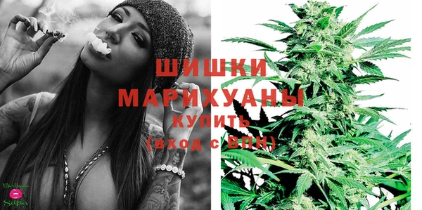 сатива Абинск