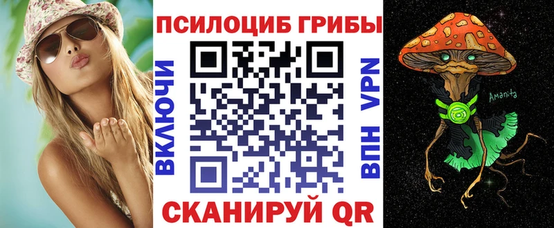 Галлюциногенные грибы Psilocybine cubensis  Красновишерск 