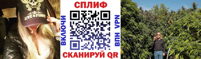 Каннабис сатива Красновишерск